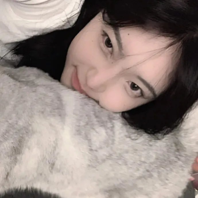 理想家 在线观看